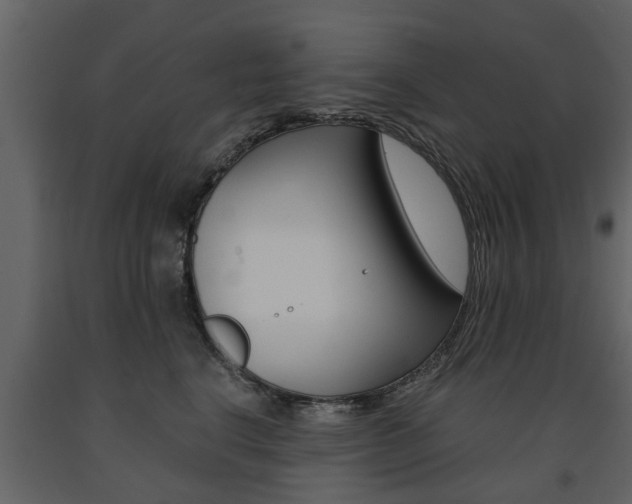 X0000091680664200708231109