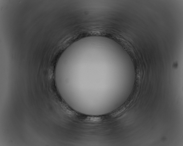 X0000091680665200708231109