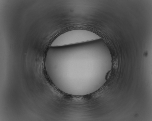 X0000091680666200708231109
