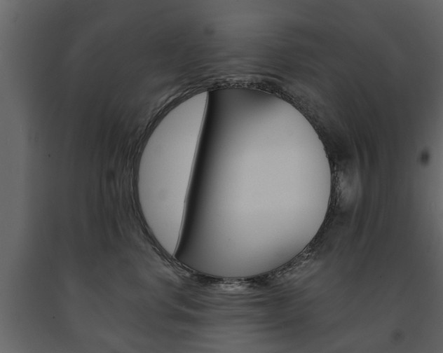 X0000091680668200708231109