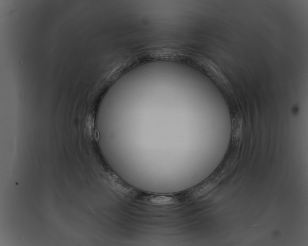 X0000091680669200708231109