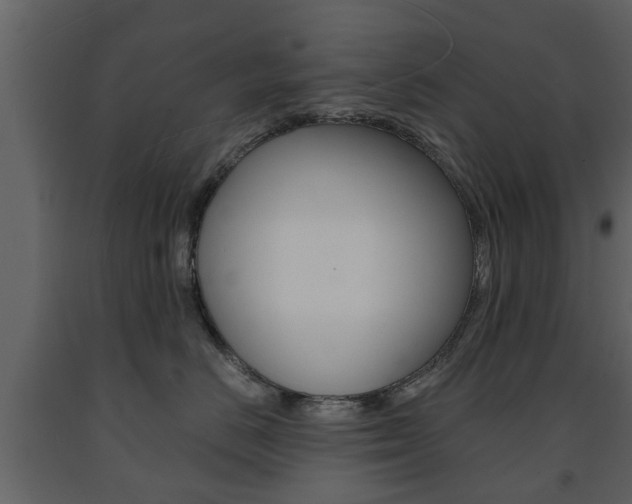 X0000091680670200708231109