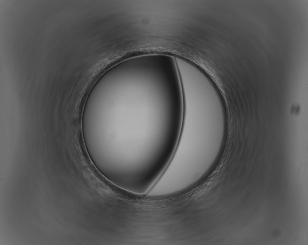 X0000091680673200708231108