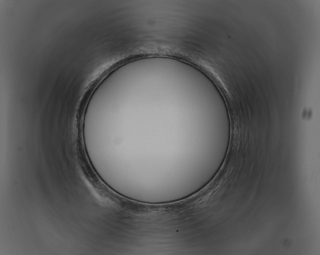 X0000091680674200708231108