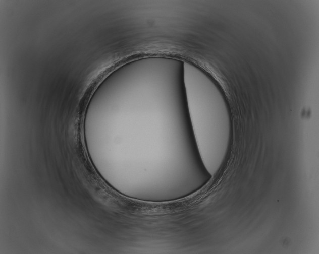 X0000091680675200708231108