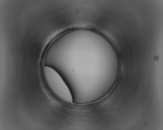 X0000091680678200708231108