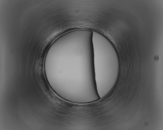 X0000091680679200708231108
