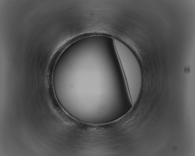 X0000091680680200708231108