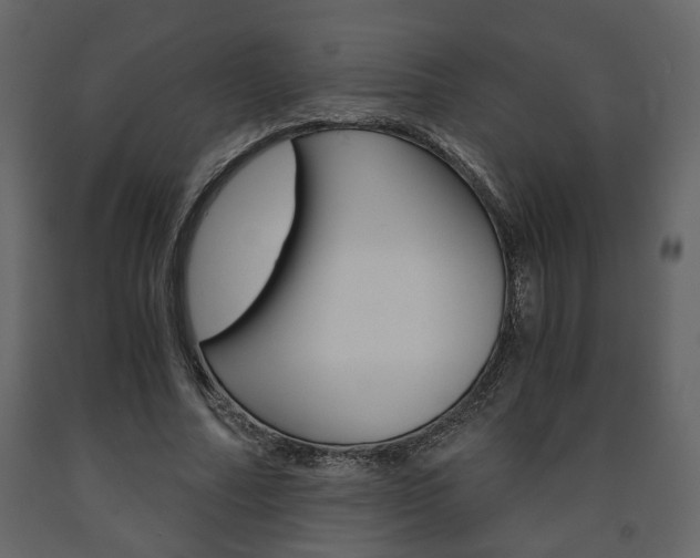 X0000091680682200708231108