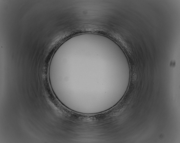 X0000091680683200708231108