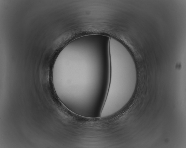 X0000091680685200708231108