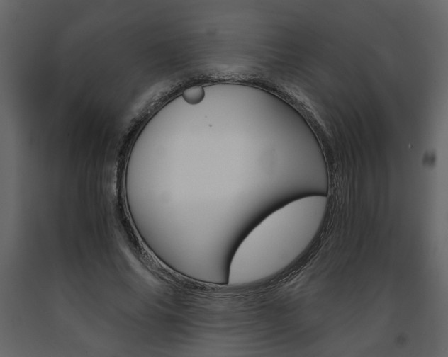 X0000091680686200708231108