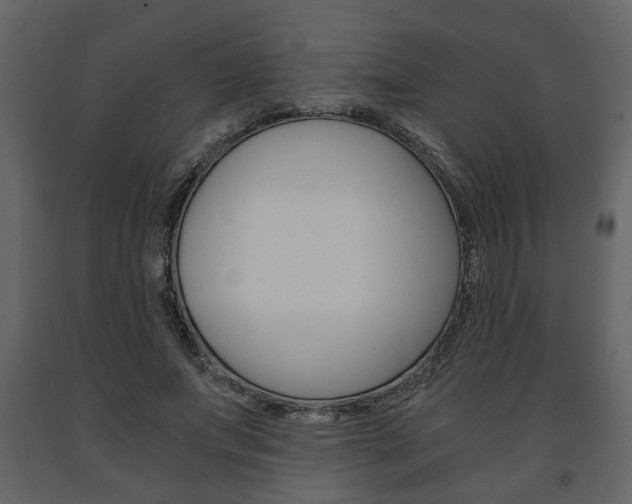 X0000091680687200708231108