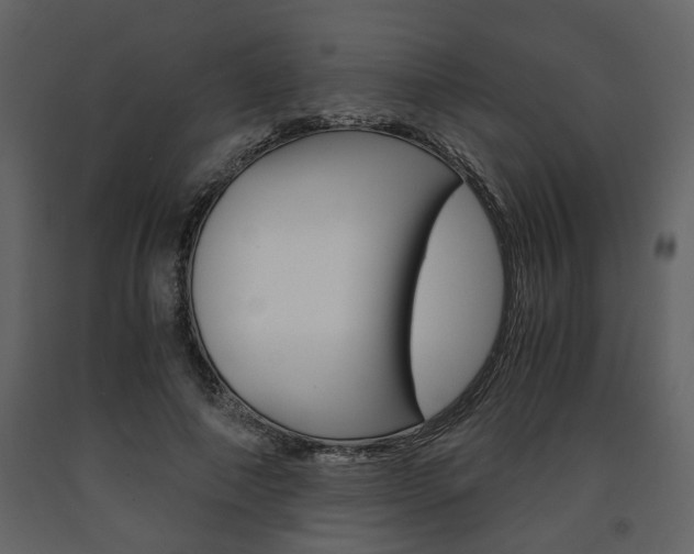 X0000091680690200708231108