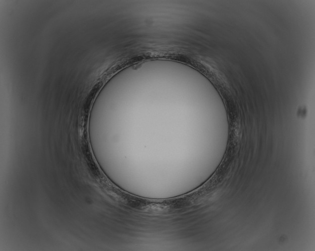 X0000091680691200708231108