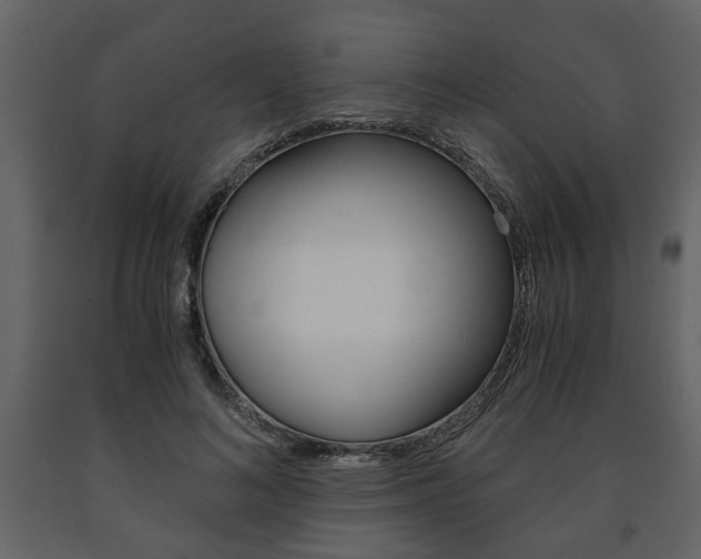 X0000091680692200708231108