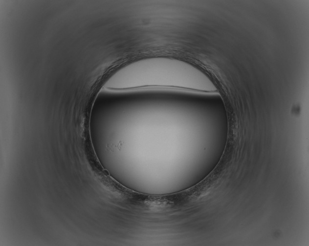 X0000091680693200708231108