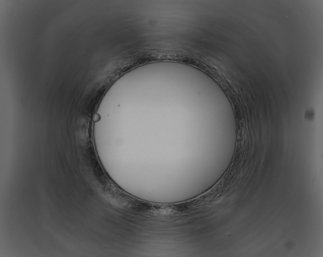 X0000091680695200708231108