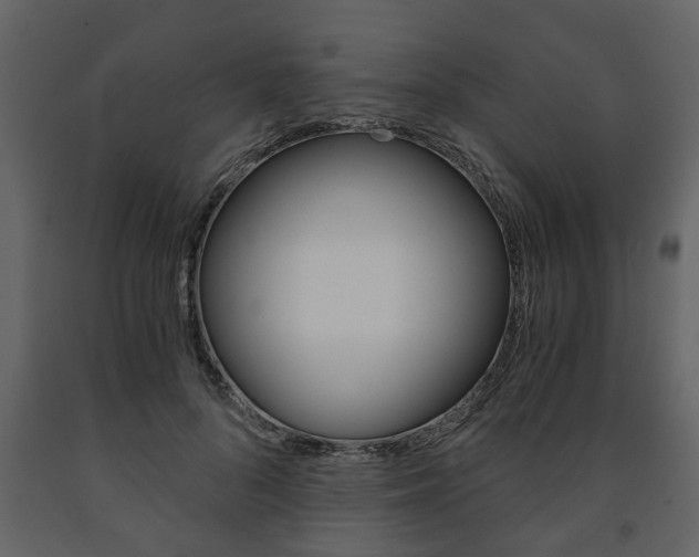 X0000091680696200708231108