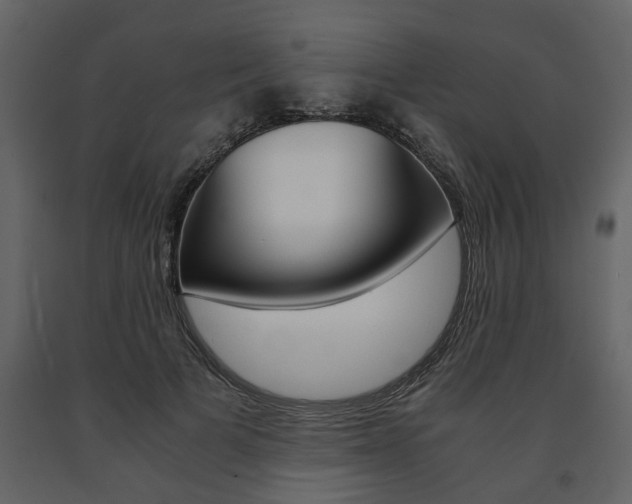 X0000091680697200708231108