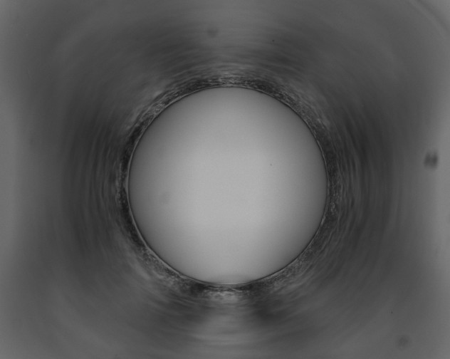 X0000091680698200708231108