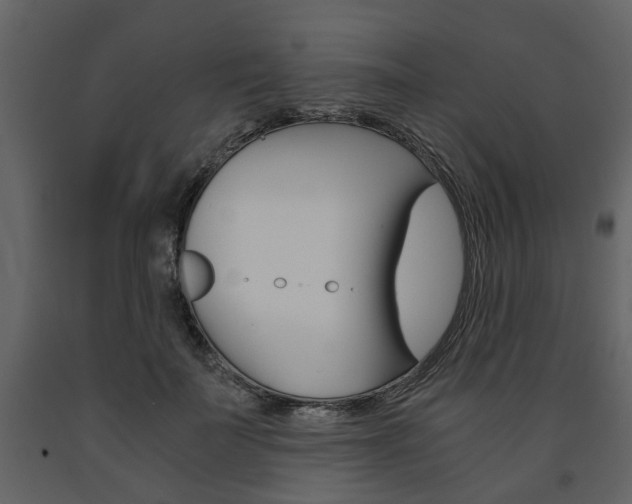 X0000091680699200708231108