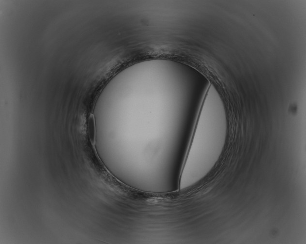 X0000091680700200708231108