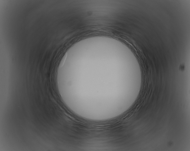 X0000091680701200708231108