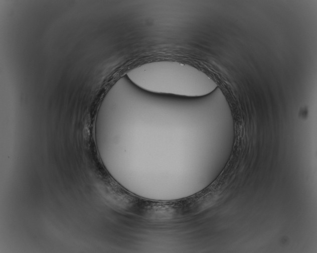 X0000091680702200708231108
