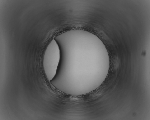 X0000091680706200708231108