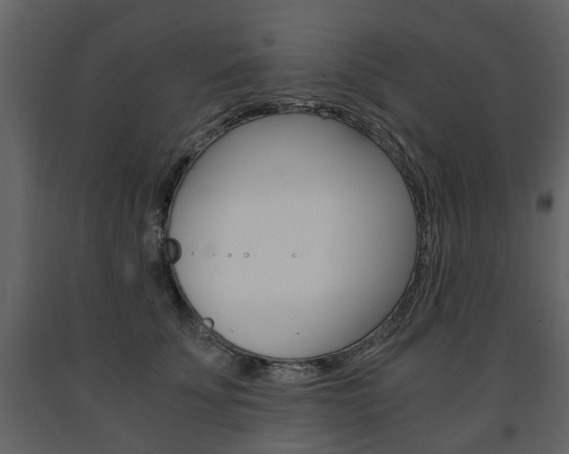 X0000091680707200708231108
