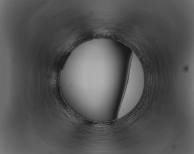 X0000091680708200708231108