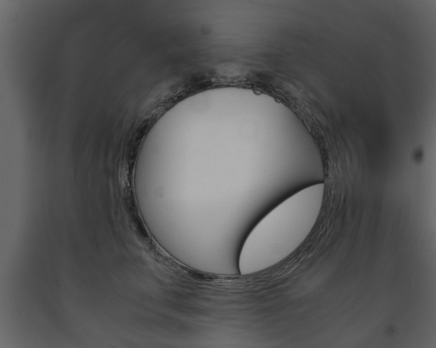 X0000091680711200708231108