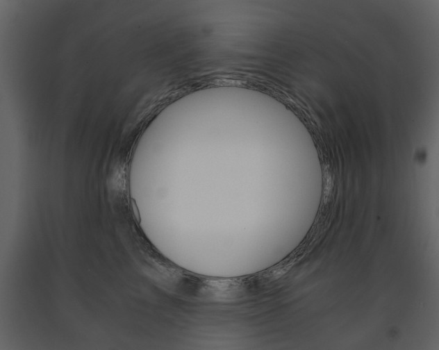 X0000091680713200708231108