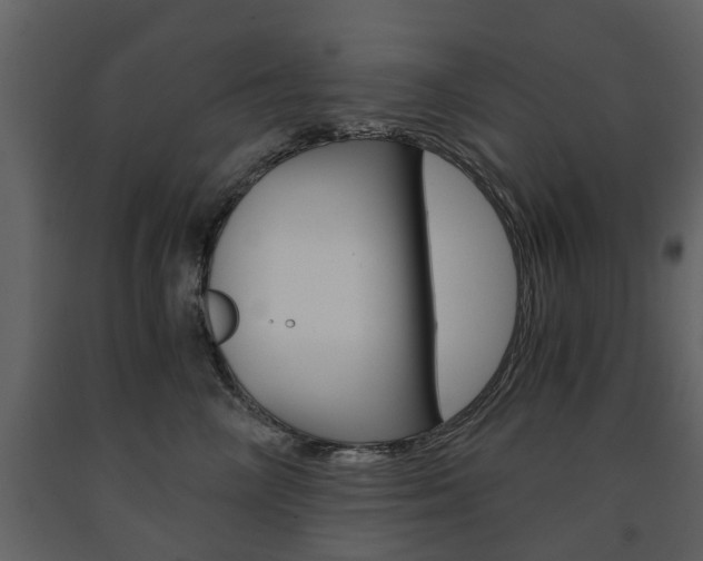 X0000091680714200708231108
