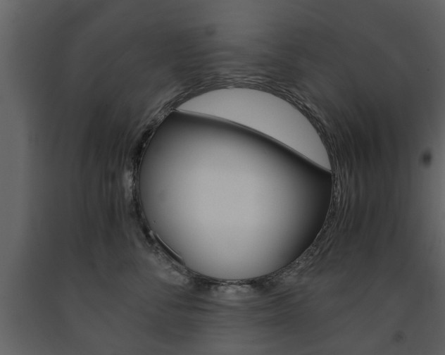 X0000091680716200708231108