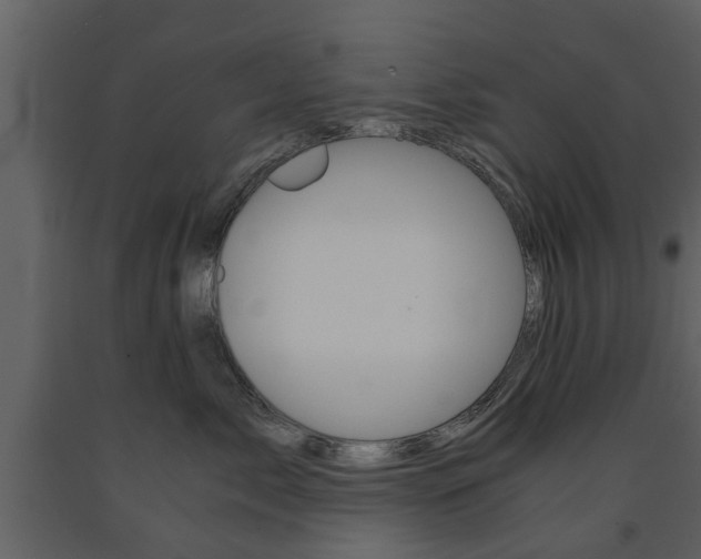 X0000091680717200708231108