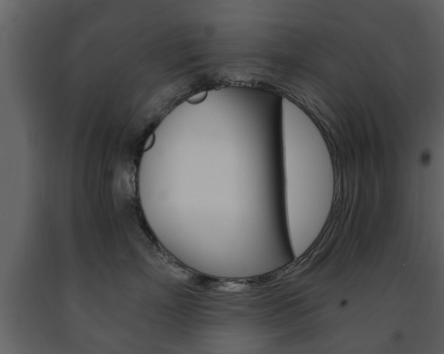 X0000091680718200708231108