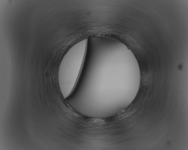 X0000091680719200708231108