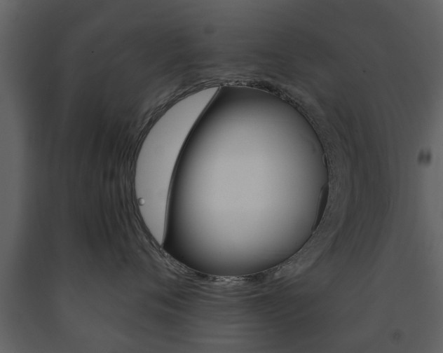 X0000091680720200708231108