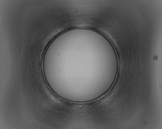 X0000091680721200708231107