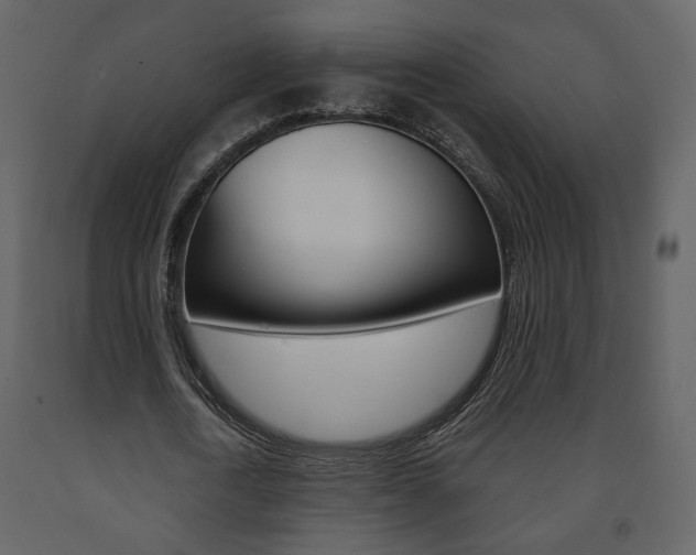 X0000091680722200708231107