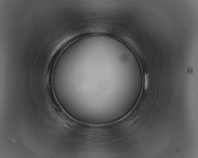 X0000091680723200708231107