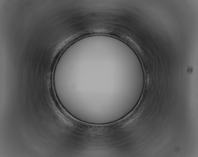 X0000091680725200708231107