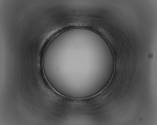 X0000091680727200708231107