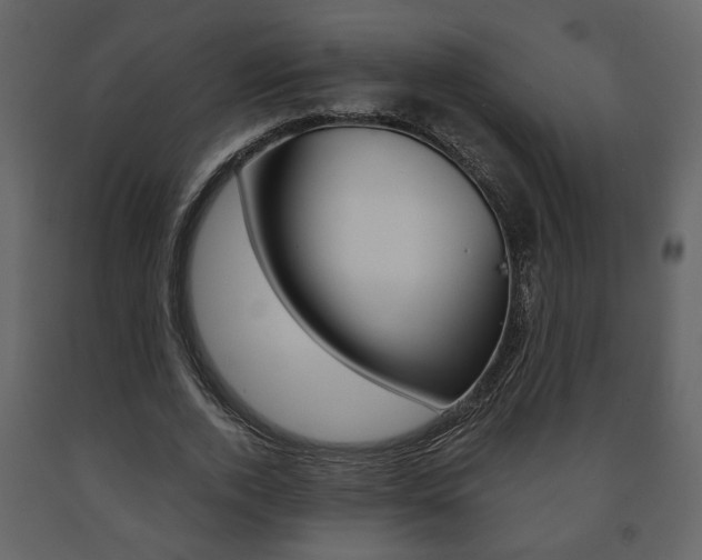 X0000091680728200708231107