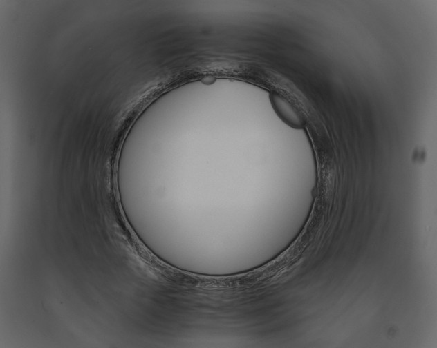 X0000091680729200708231107