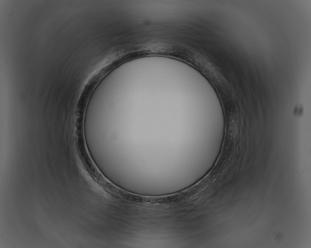 X0000091680730200708231107