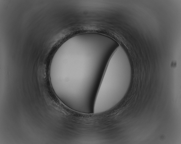 X0000091680731200708231107