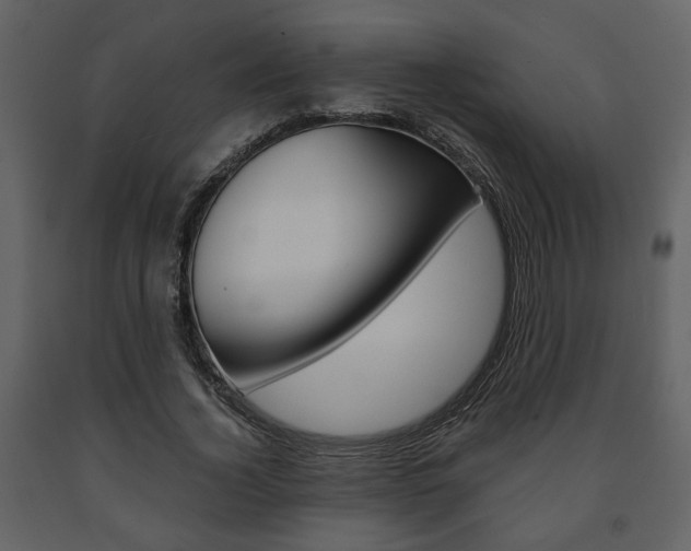 X0000091680732200708231107